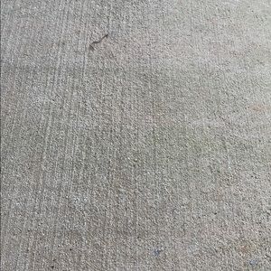 Meet your Posher, Josh